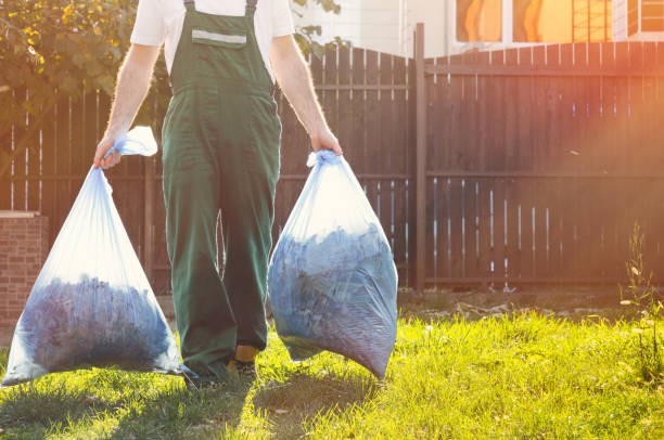 Best Basement Cleanout Services  in Auburn, AL